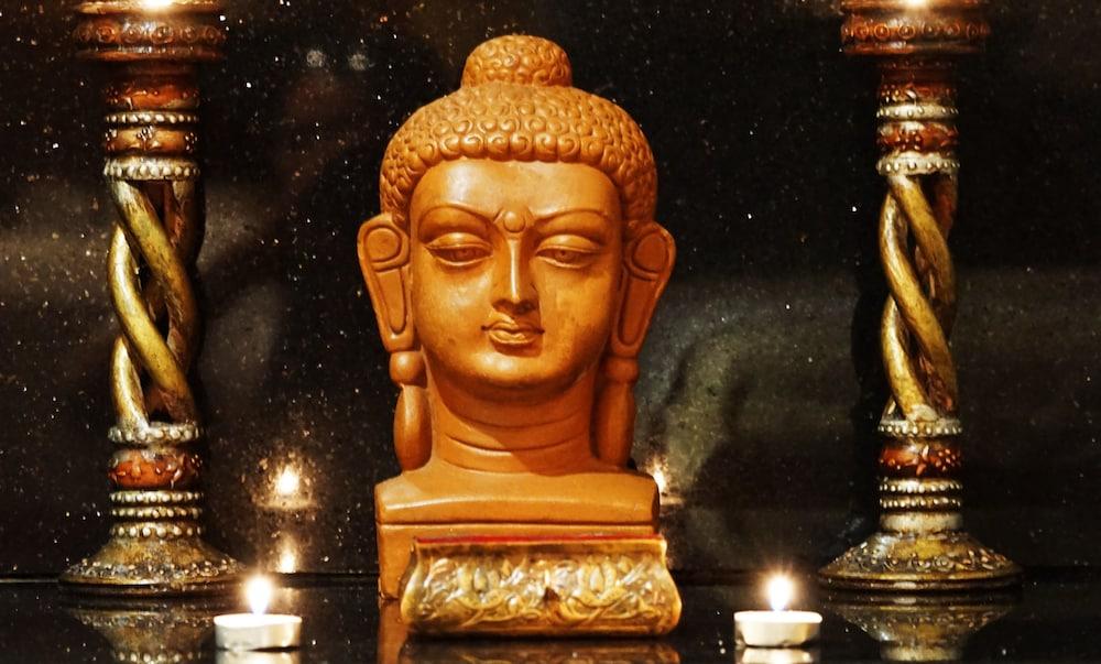 Taj Chandīgarh Dış mekan fotoğraf The Buddha